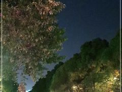 -星河湾商业街地面停车场