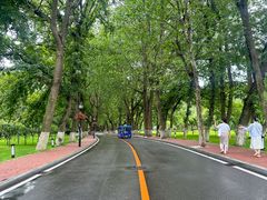 -棒棰岛宾馆景区