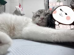 -万德隆时代广场(邓州店)