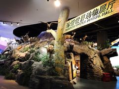 -陕西自然博物馆