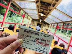 -岚山嵯峨野观光小火车