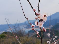 -北京金海湖景区