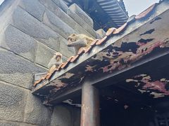 -白帝城·瞿塘峡景区