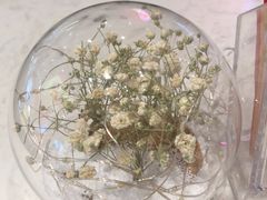 -哈根达斯(皇庭店)