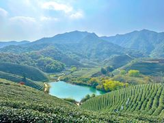 -龙坞茶村