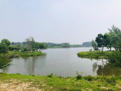 -东郊湿地公园