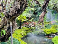 -Chom Cafe and Restaurant