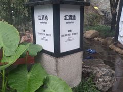 -融汇温泉