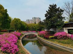 -蠡湖大桥公园