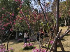 -牛岗山公园