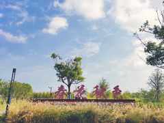 -春花秋色城市公园