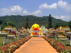 -东南花都花博园