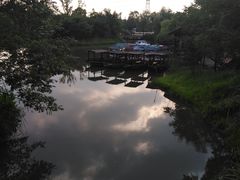 -梁鸿国家湿地公园