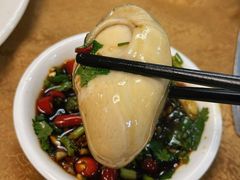 -濠轩阁特色生蚝火锅总店
