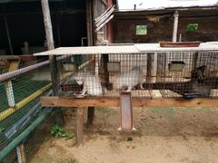 -北戴河集发农业梦想王国