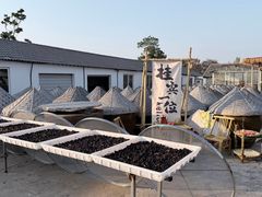 -苏州市吴中区光福窑上花果蜜饯厂