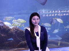 -重庆欢乐海底世界