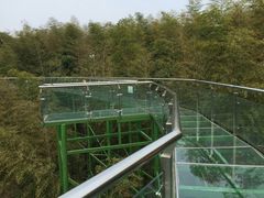 -陶祖圣境风景区