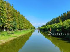 -黄海国家森林公园