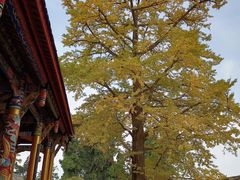 -金堂县云顶石城风景区