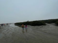 -北海金海湾红树林生态旅游区