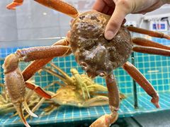 -本达人海鲜烧烤·朝鲜族风味(发展店)