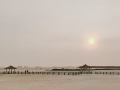 -东郊椰林