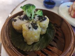 -点都德·毕德寮