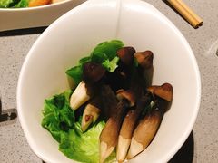 鹿茸菇-海底捞火锅(吴中路店)