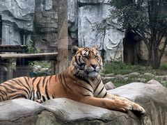 -常州淹城野生动物世界