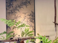 -正佳雨林生态植物园