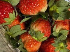 -润生源足道·SPA(个园店)