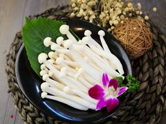 -手选潮汕鲜活牛肉火锅(二七广场店)