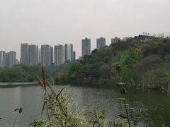 -重庆彩云湖湿地公园