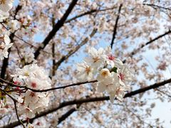 -白塘生态植物园