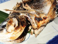-綱元·海鲜豆捞(明州里店)