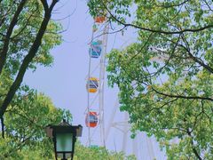 -上海野生动物园