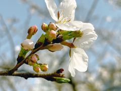 -西北湖绿化广场