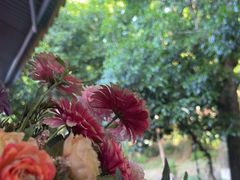 -国生茶庄·地道农家菜团建活动