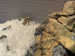 -湖南省地质博物馆