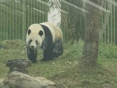 -武汉动物园