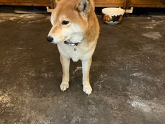 -小时光咖啡馆(北锣鼓巷店)