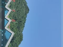 -牛背梁国家森林公园