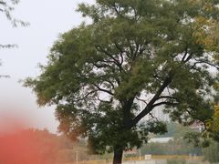 -北运河水利风景区