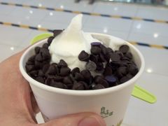 -三佰瑞冻酸奶(凯德MALL店)