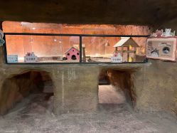 -酷嗒动物文化乐园(cutezoo西溪乐天城店)