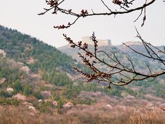 -居庸关长城