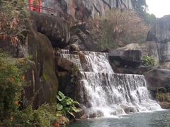 -金鸡山公园