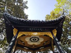 -梅园