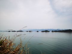 -千岛湖东南湖区